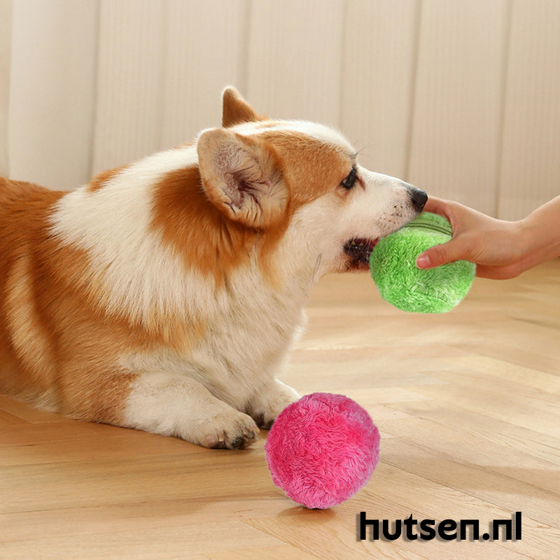 DogFri™ ActiveBall - Anti-angst Automatisch Rollende Bal