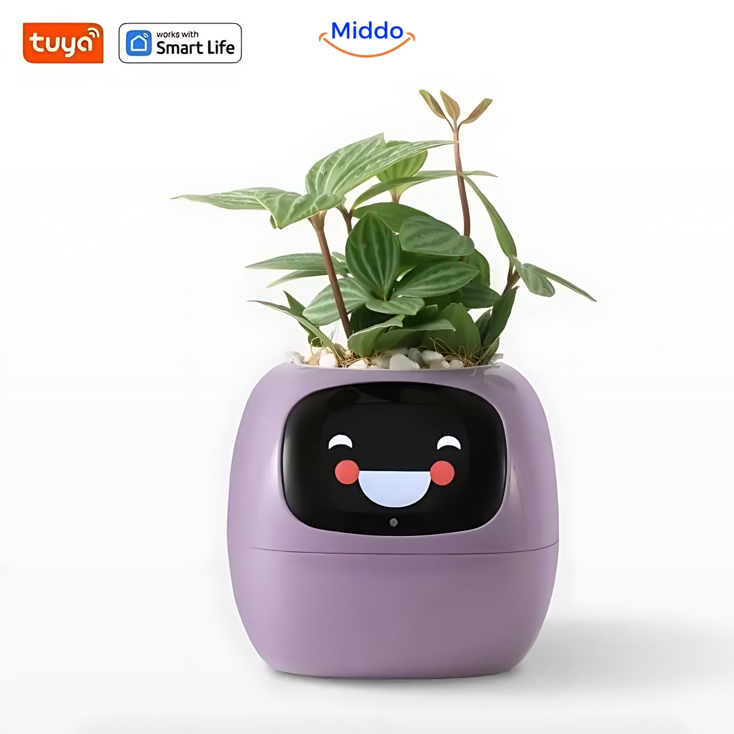 Happy Ivy™ - SMART Bloempot voor Automatische Plantenverzorging