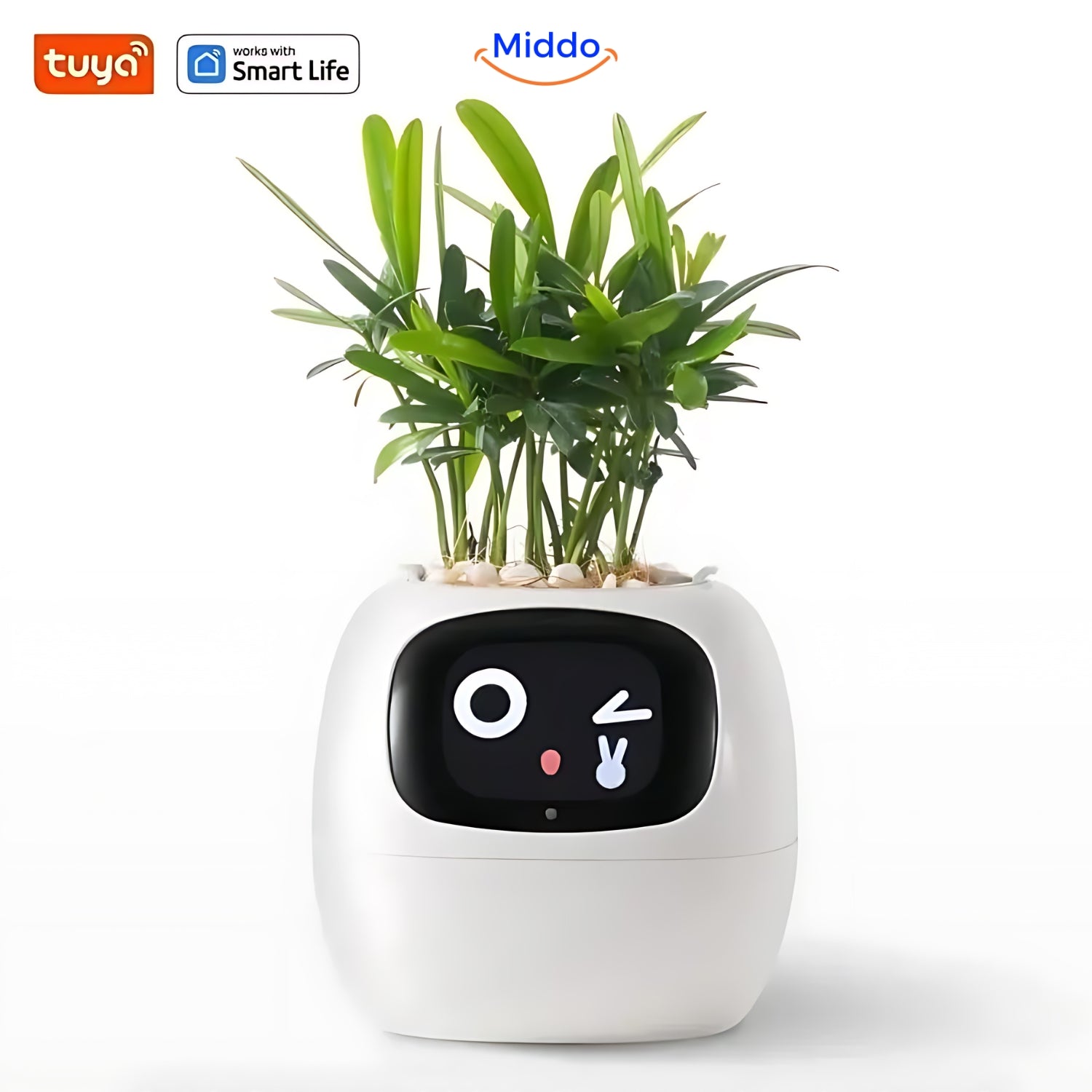 Happy Ivy™ - SMART Bloempot voor Automatische Plantenverzorging