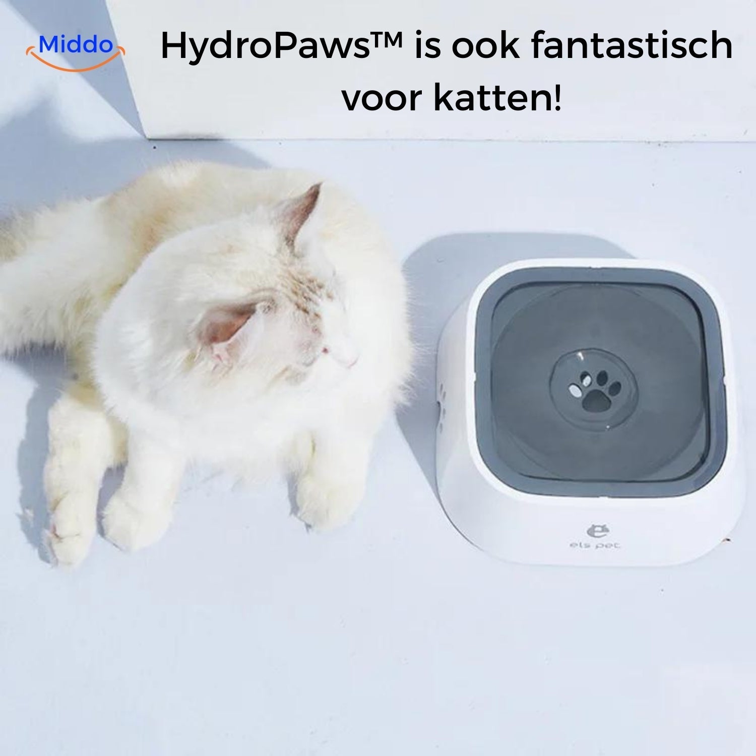 HydroPaws™ Anti-Spat Drinkbak voor Honden. Voorkom uitglijders, denk om je veiligheid!