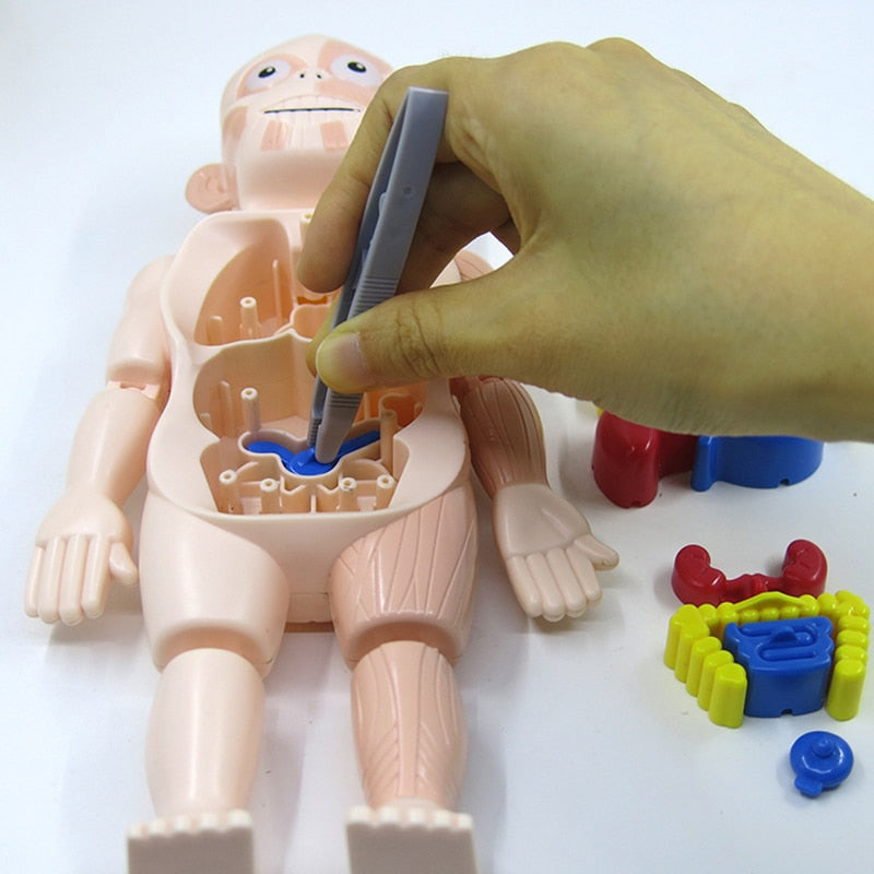 Griezelig Leuk: Kinder Anatomie Set